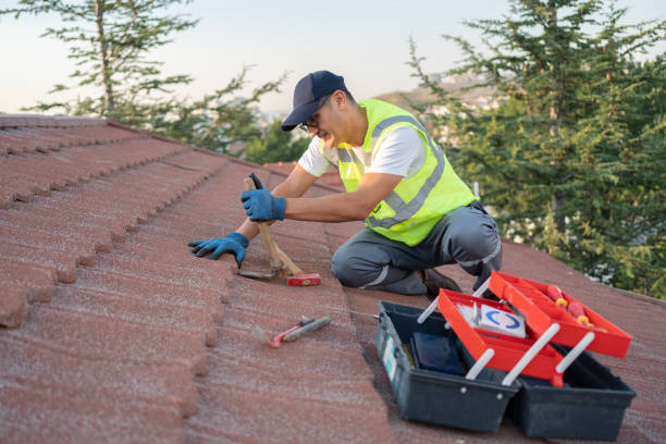 Quick and Trustworthy Emergency Roof Repair Services in Cotulla, TX